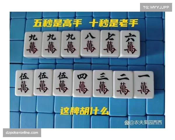 山西队强调闪电反击与二次落位训练 五秒内完成第一选择